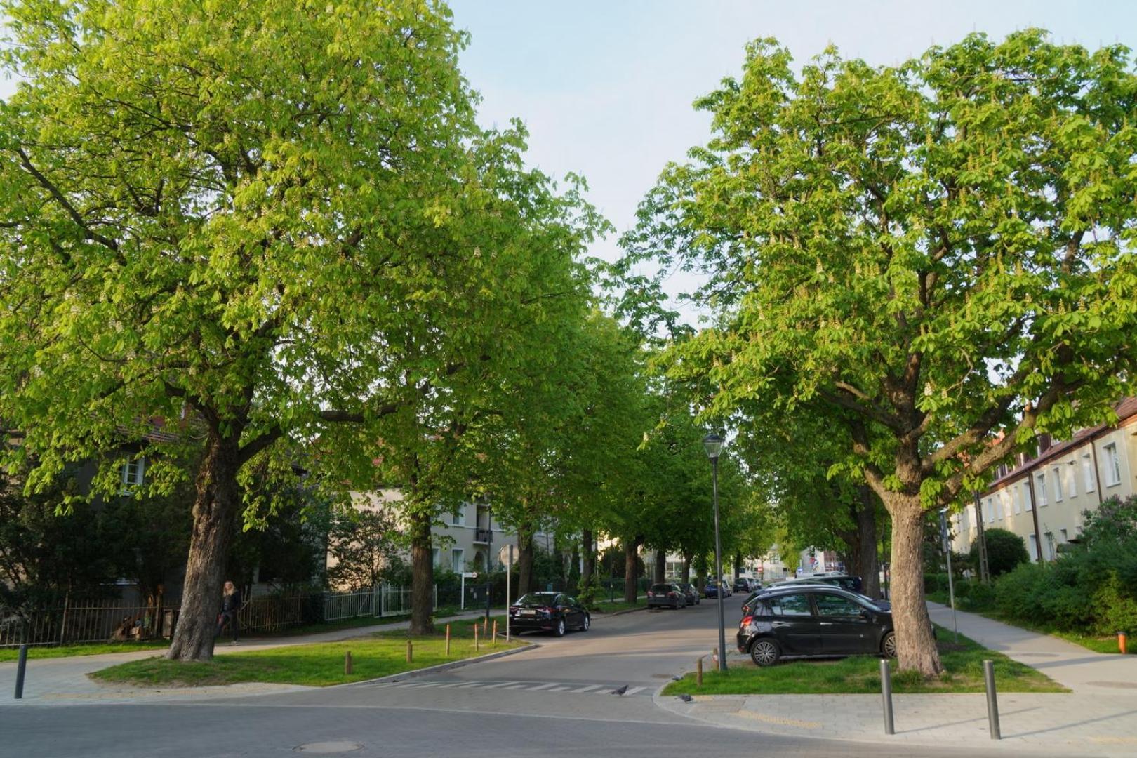 Apartament Przytulne Poddasze W Gdansku *
